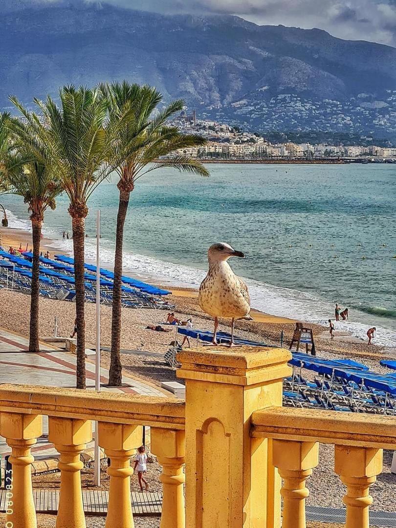 Apartment Casablanca Finestrat Benidorm